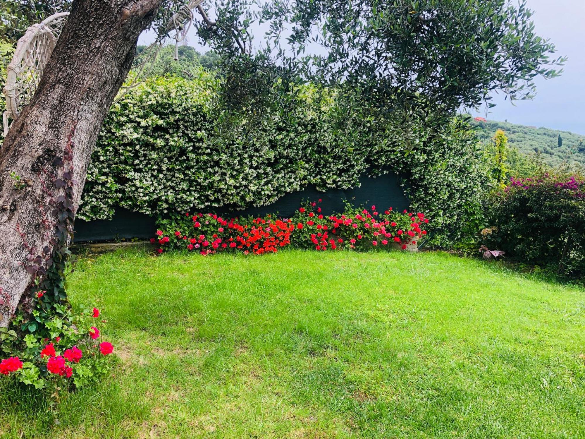 Le Jardin Sur Mer Avec Bike Et Mtb Tour Hotel Imperia Buitenkant foto